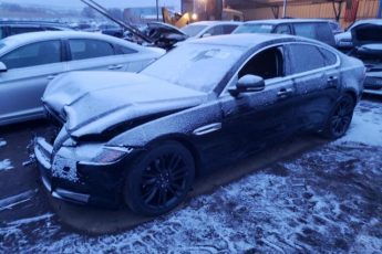 SAJBK4BV8GCY11395 | 2016 JAGUAR XF PRESTIG