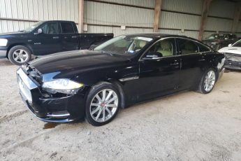 SAJWA1CZ2E8V59860 | 2014 JAGUAR XJ