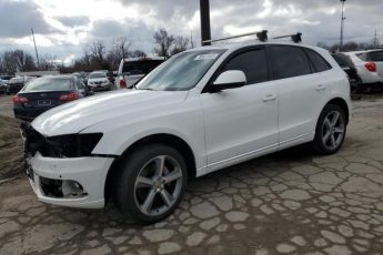 WA1CMAFP8EA087766 | 2014 AUDI Q5 TDI PRE