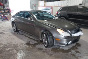 WDDDJ72X47A095156 | 2007 MERCEDES-BENZ CLS 550