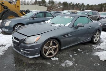 WDDPK3JA9GF123729 | 2016 MERCEDES-BENZ SLK 300